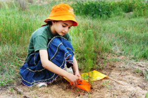 Girl in Israel planting a tree for Tu'bishvat